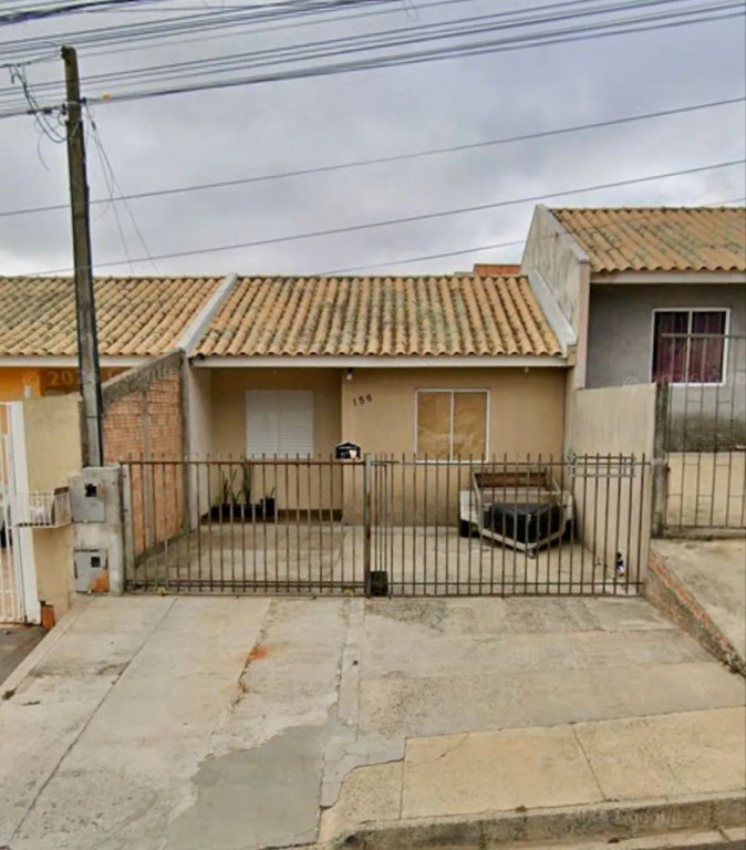 Foto - Ponta Grossa - Cará-cará