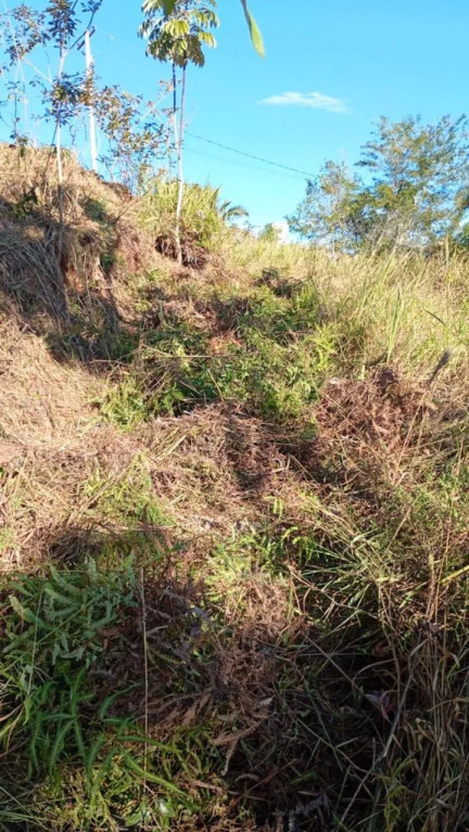 Foto - Jacareí - Jardim Califórnia