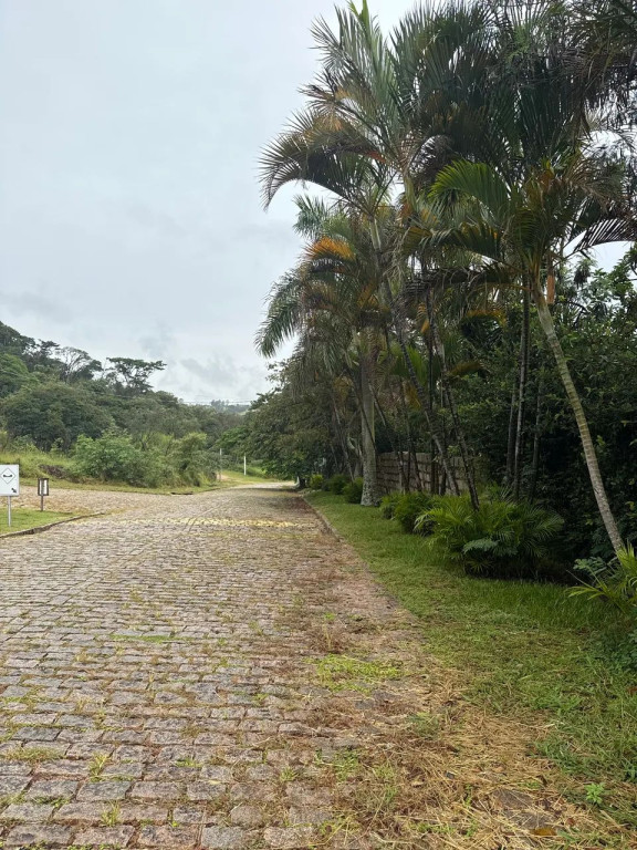 Foto - Campinas - Ponte Preta