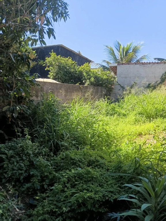 Foto - Caraguatatuba - Pegorelli