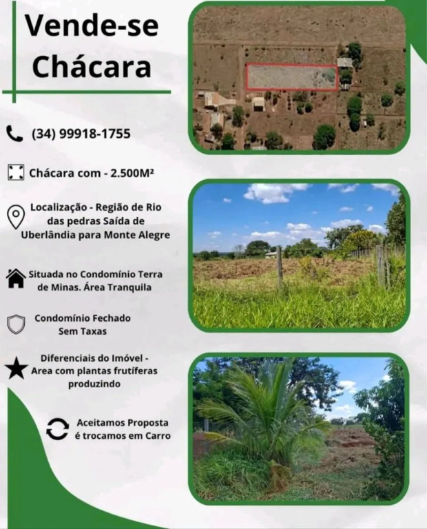 Foto - Uberlândia - 