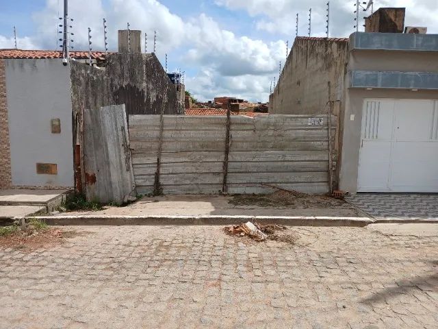 Foto - Lagarto - 