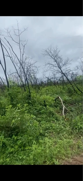 Foto - Viçosa do Ceará - Padre Vieira