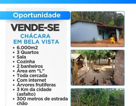 Foto - Bela Vista de Goiás - 