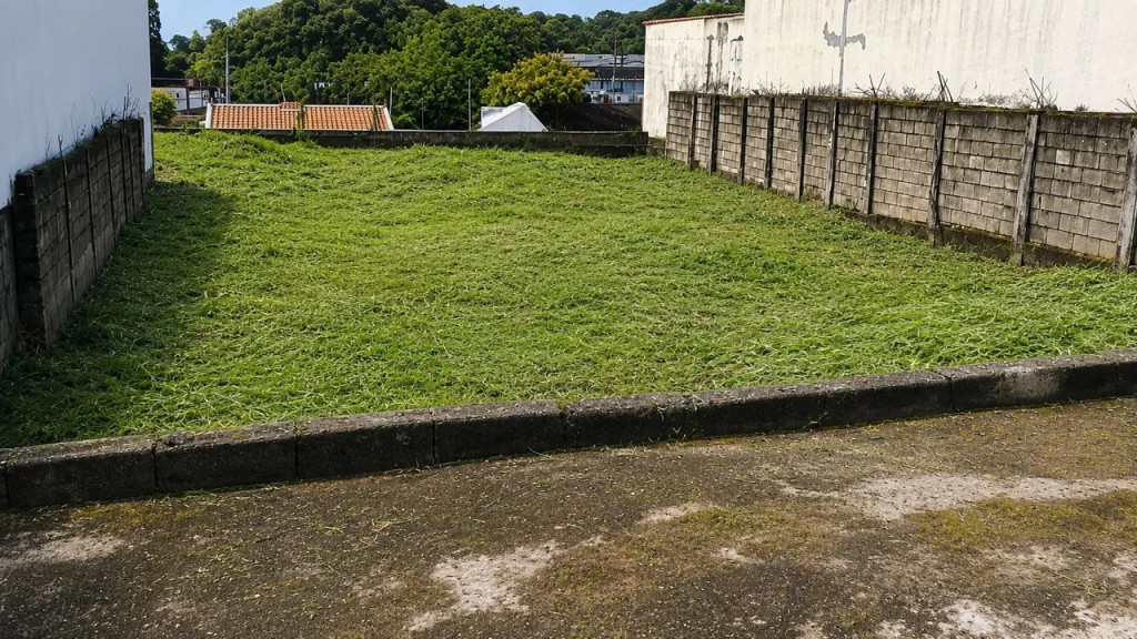 Foto - Ribeirão Preto - Jardim Paulistano