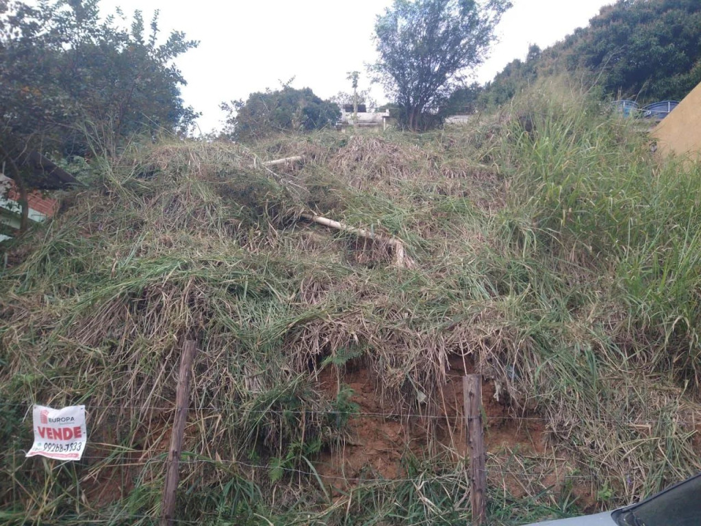 Foto - Volta Redonda - Santa Cruz