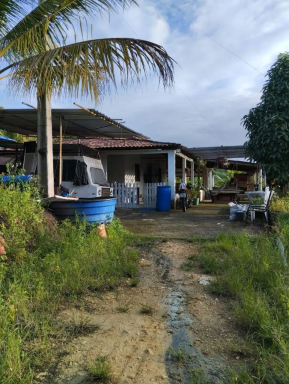 Foto - Vitória de Santo Antão - Água Branca