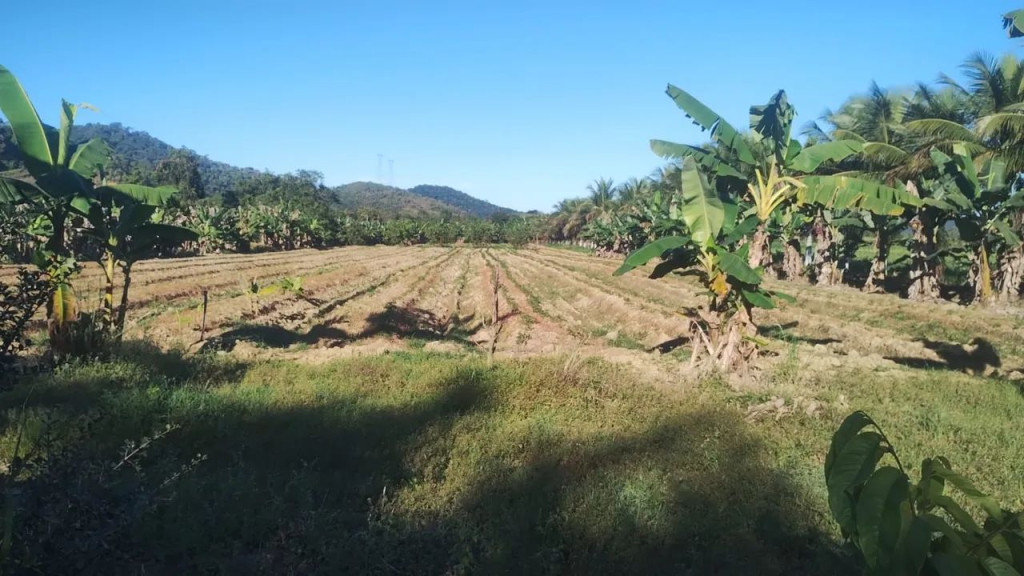 Foto - Papucaia - 