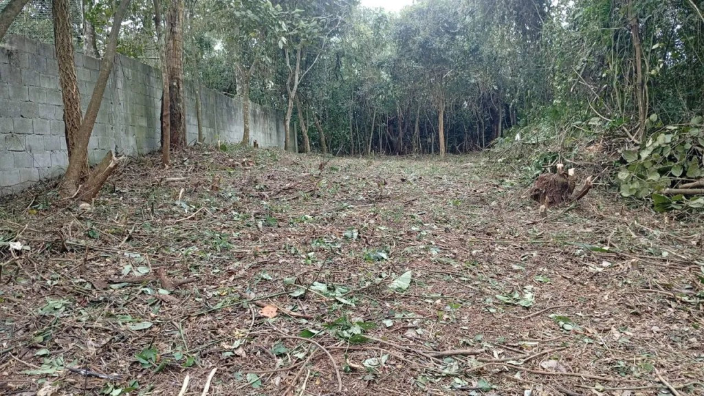 Foto - Guarulhos - Macedo