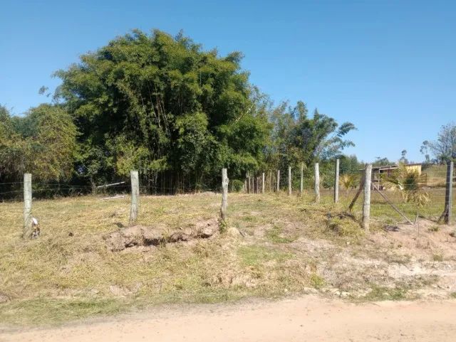 Foto - Piracicaba - Pau DAlhinho