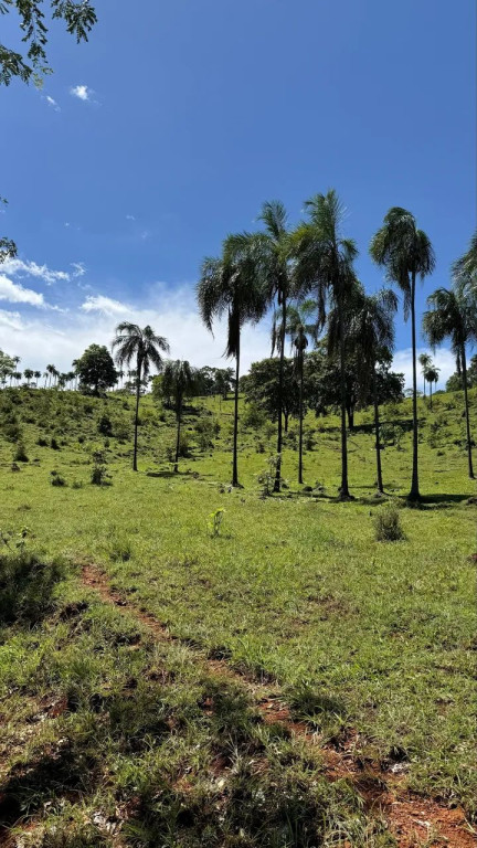 Foto - Niquelândia - 