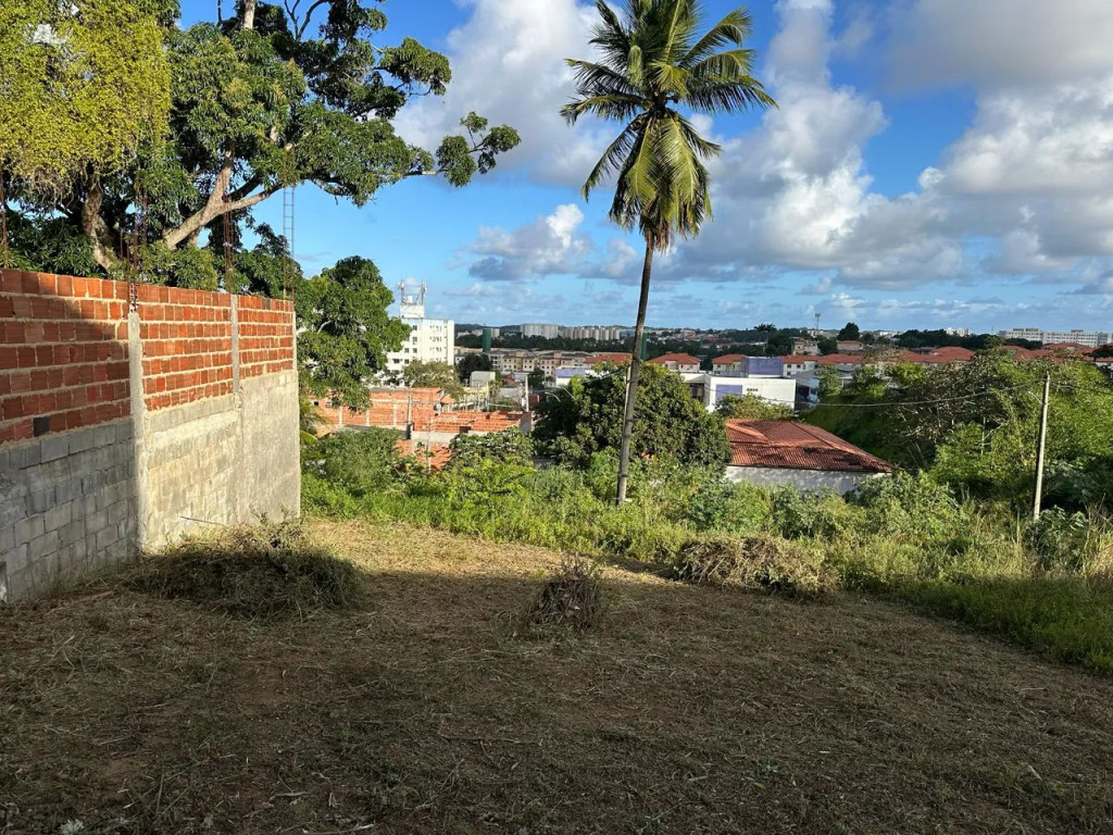 Foto - Salvador - Jardim das Margaridas