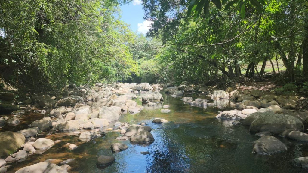 Foto - Belo Horizonte - Camargos