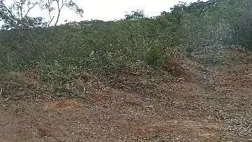 Foto - Contagem - Granja Vista Alegre