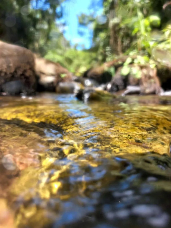 Foto - Rancho Queimado - 