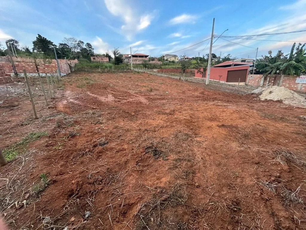 Foto - Onça de Pitangui - 