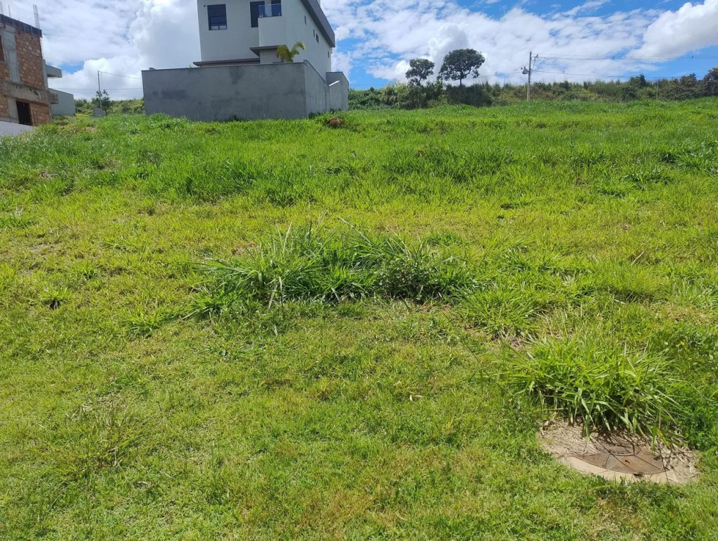 Foto - Uberlândia - Aclimação