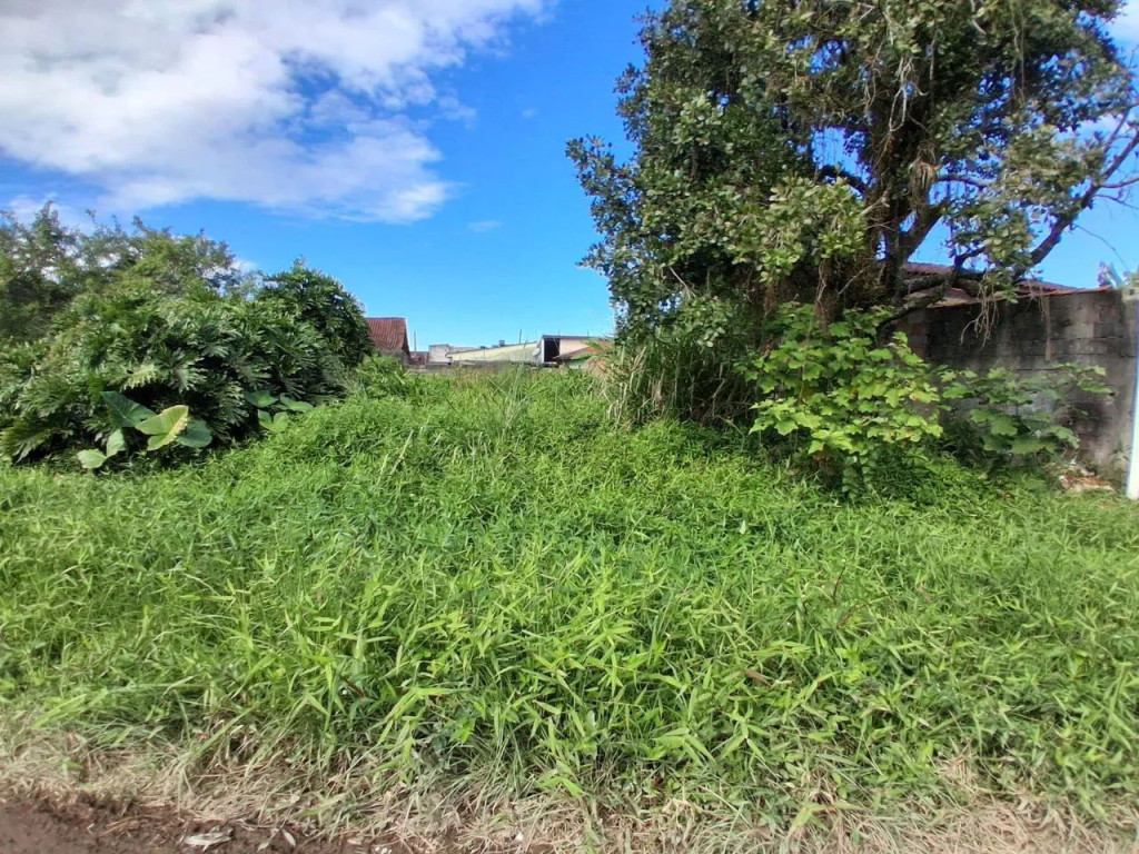 Foto - Santo André - Jardim Cristiane