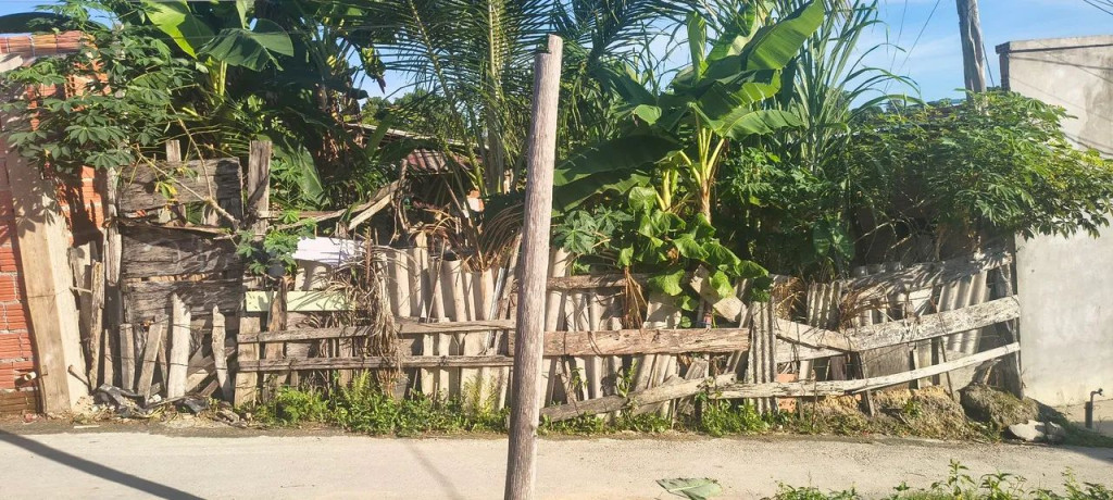 Foto - Manaus - Jorge Teixeira