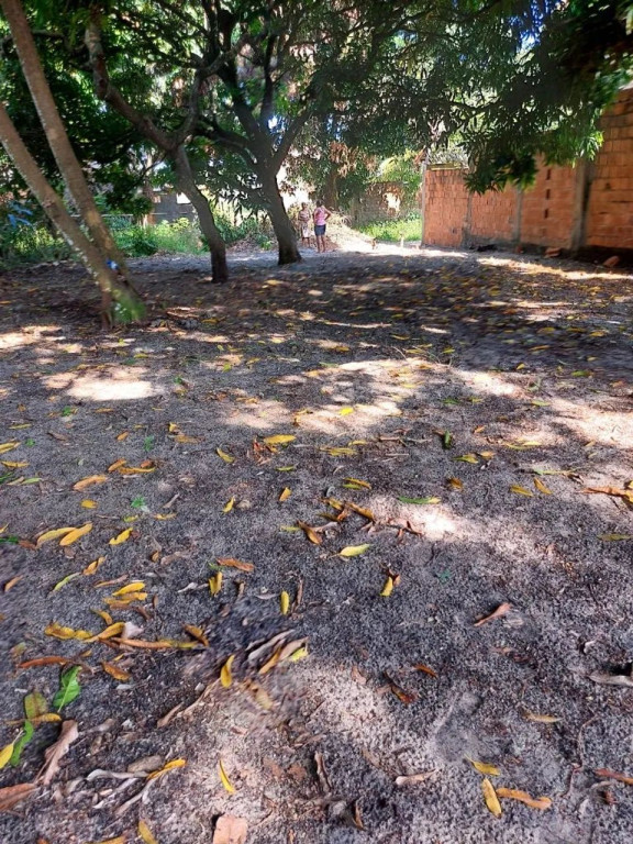 Foto - Salvador - Bairro da Paz