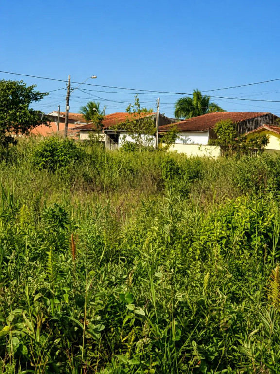 Foto - Peruíbe - 