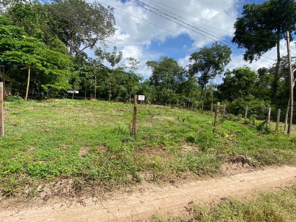 Foto - Santarém - Interventoria