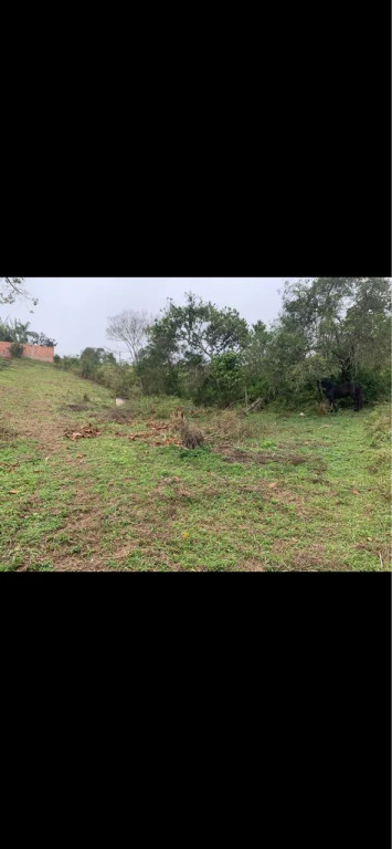 Foto - São Paulo - Jardim Herplin