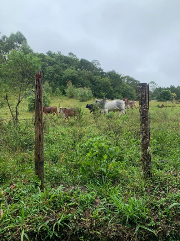Foto - Ibiúna - 