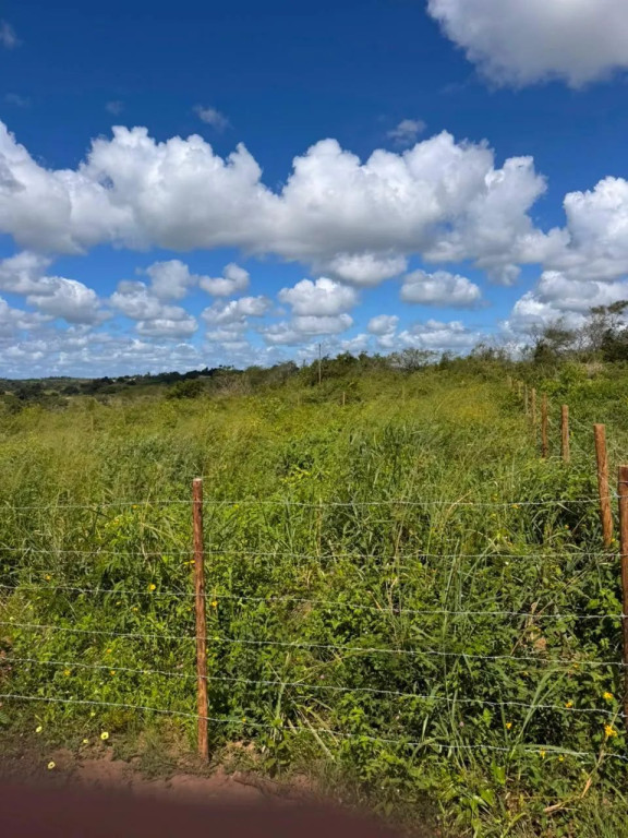 Foto - São Gonçalo dos Campos - 