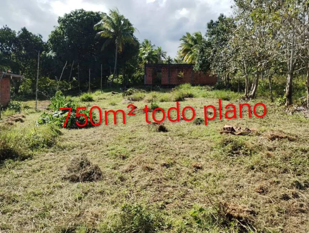 Foto - São Francisco do Conde - 