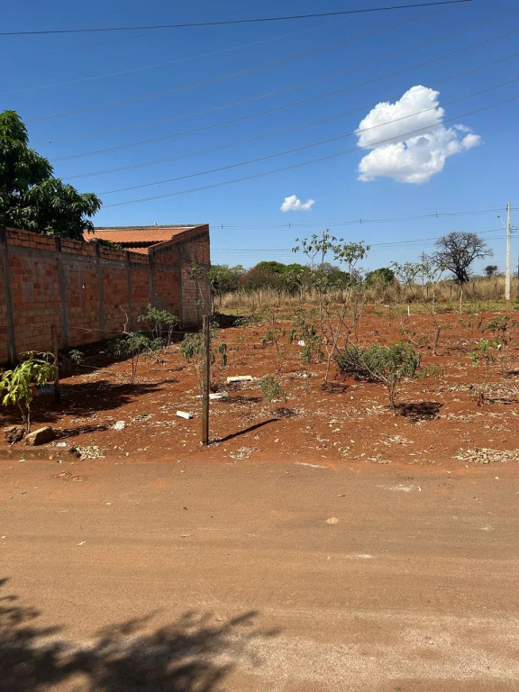 Foto - Goiânia - Floresta