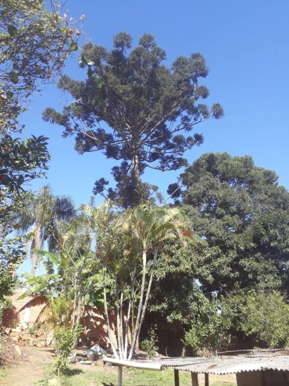 Foto - Piedade - 