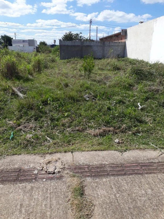 Foto - Campos dos Goytacazes - Donana