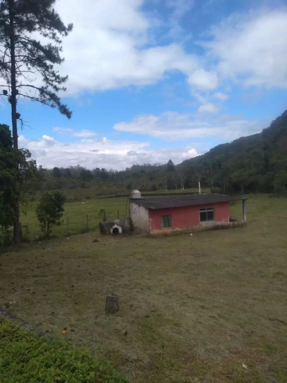 Foto - São Paulo - Jardim Novo Santo Amaro