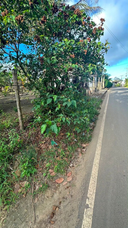 Foto - Valença - 