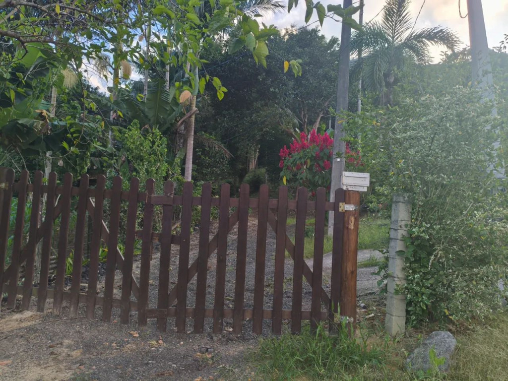 Foto - Palhoça - Pagani