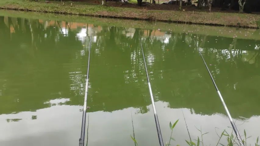 Foto - Limeira - Centro