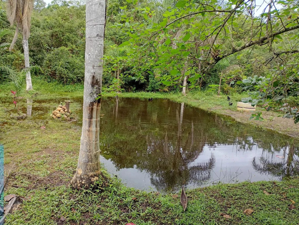 Foto - Itanhaém - 