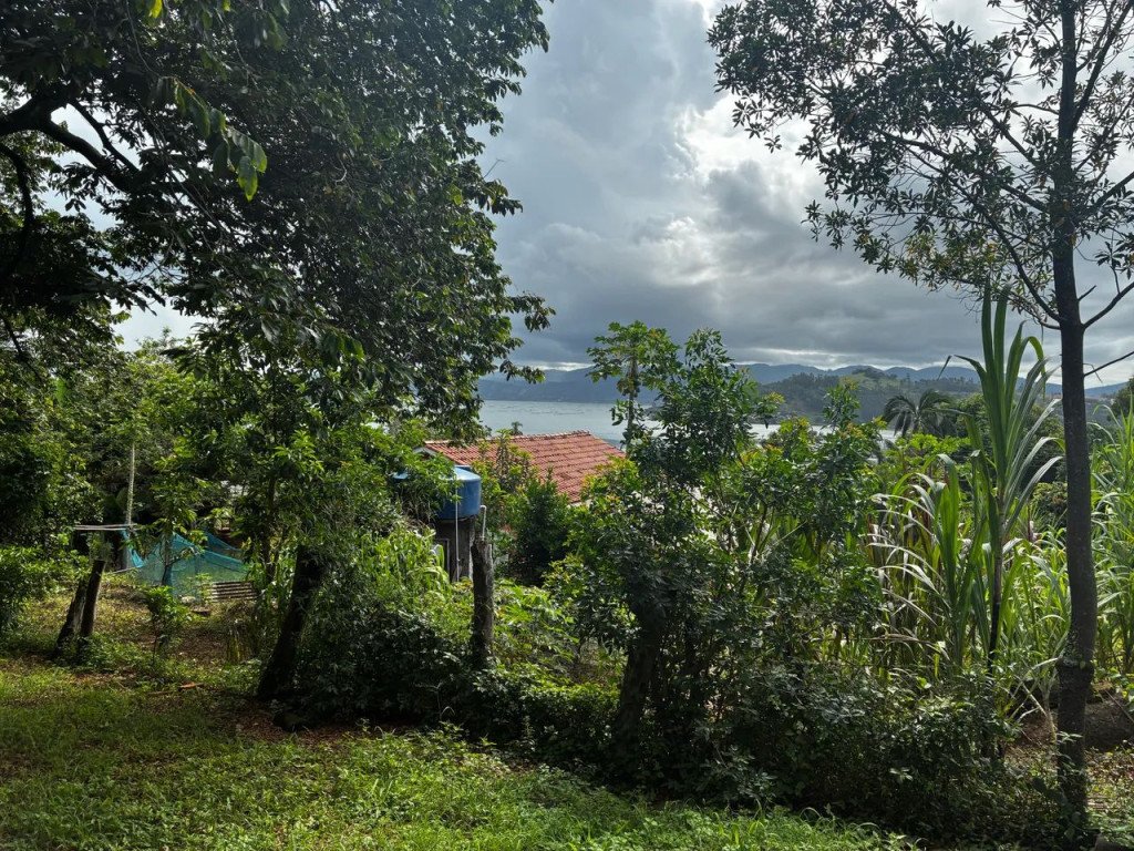 Foto - Palhoça - Aririú