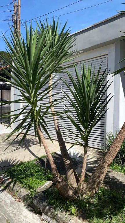 Foto - Jacareí - Loteamento Villa Branca