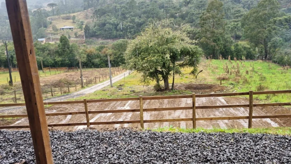 Foto - Palhoça - Aririú da Formiga