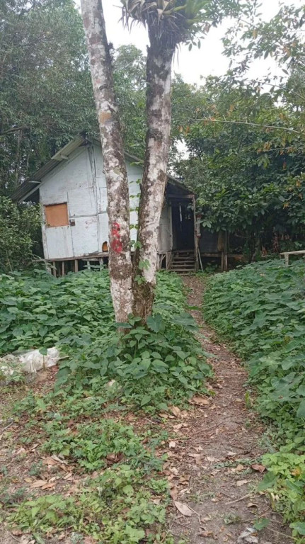 Foto - Bertioga - Chácaras