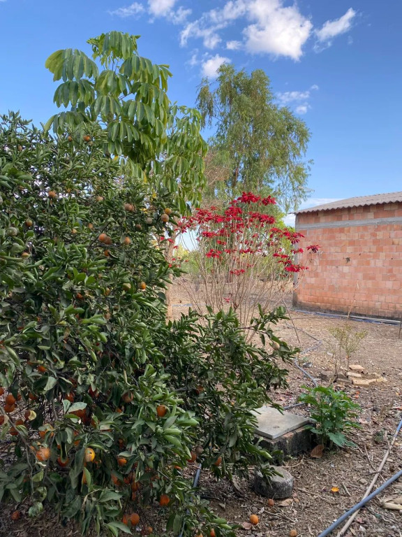 Foto - Brasília - Arapoanga (Planaltina)