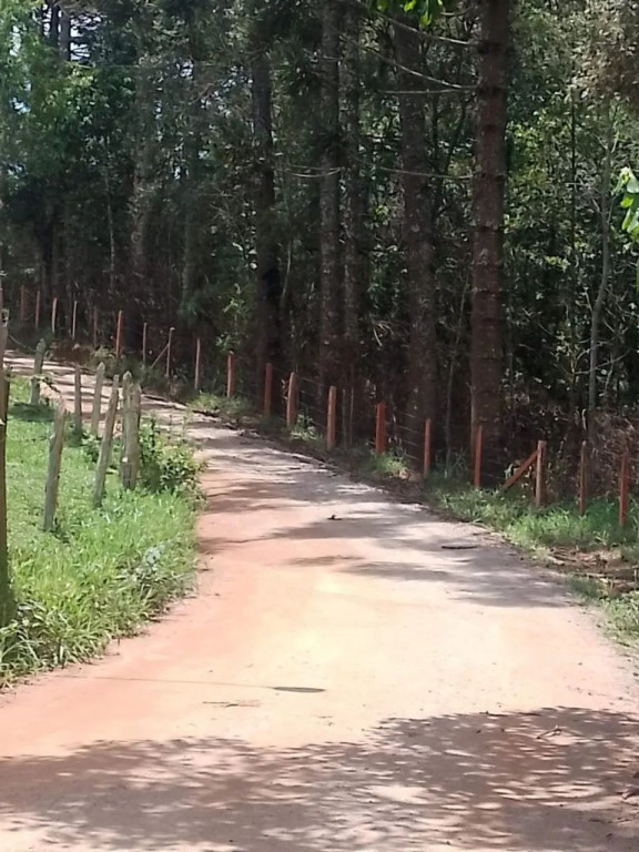 Foto - Taboão da Serra - Jardim Maria Rosa