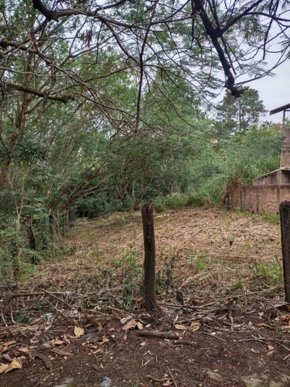 Foto - Piracicaba - Centro (Tupi)