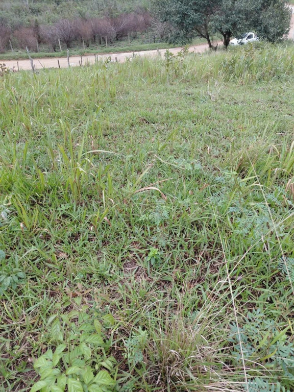 Foto - Saquarema - Bacaxá (Bacaxá)