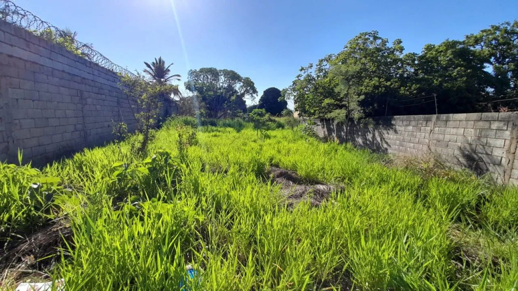 Foto - Lagoa Santa - 