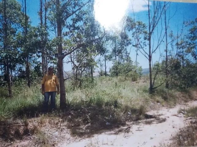 Foto - Belo Horizonte - Monsenhor Messias