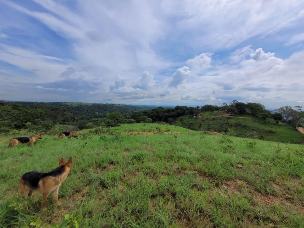 Foto - São José da Lapa - 