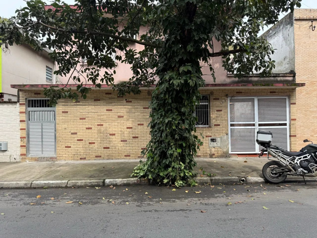 Foto - Santos - Estuário